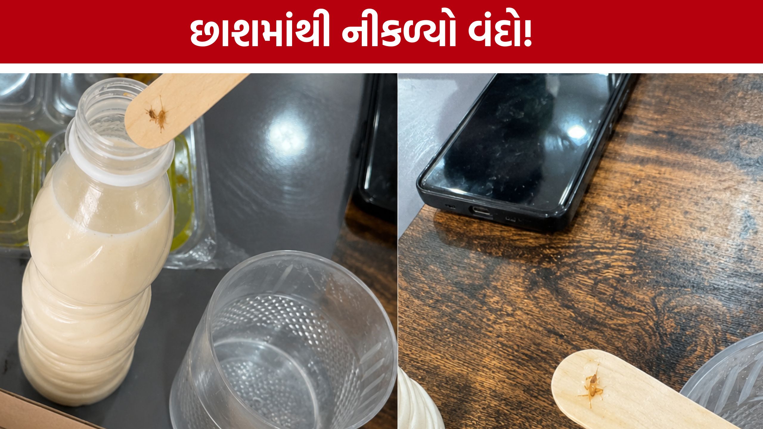 Online Food Order Ahmedabad: છાશમાં વંદો નીકળતા ગ્રાહકનો વીડિયો વાયરલ