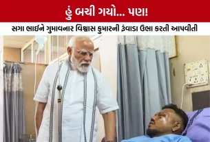 Ahmedabad Air India Plane Crash Survivor