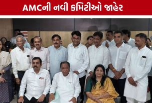 ભાજપે જાહેર કરી AMC New Committee, વોટર સપ્લાયથી હેલ્થ સુધી બદલાયા ચેરમેન