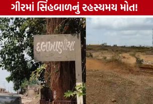 Amreli Lion Cub Death: દલખાણીયા રેન્જમાં સિંહબાળનો મૃતદેહ મળતાં ચકચાર
