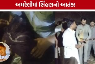 Amreli Lioness Attack: 5 વર્ષના બાળકનો સિંહણના હુમલામાં કરુણ અંત