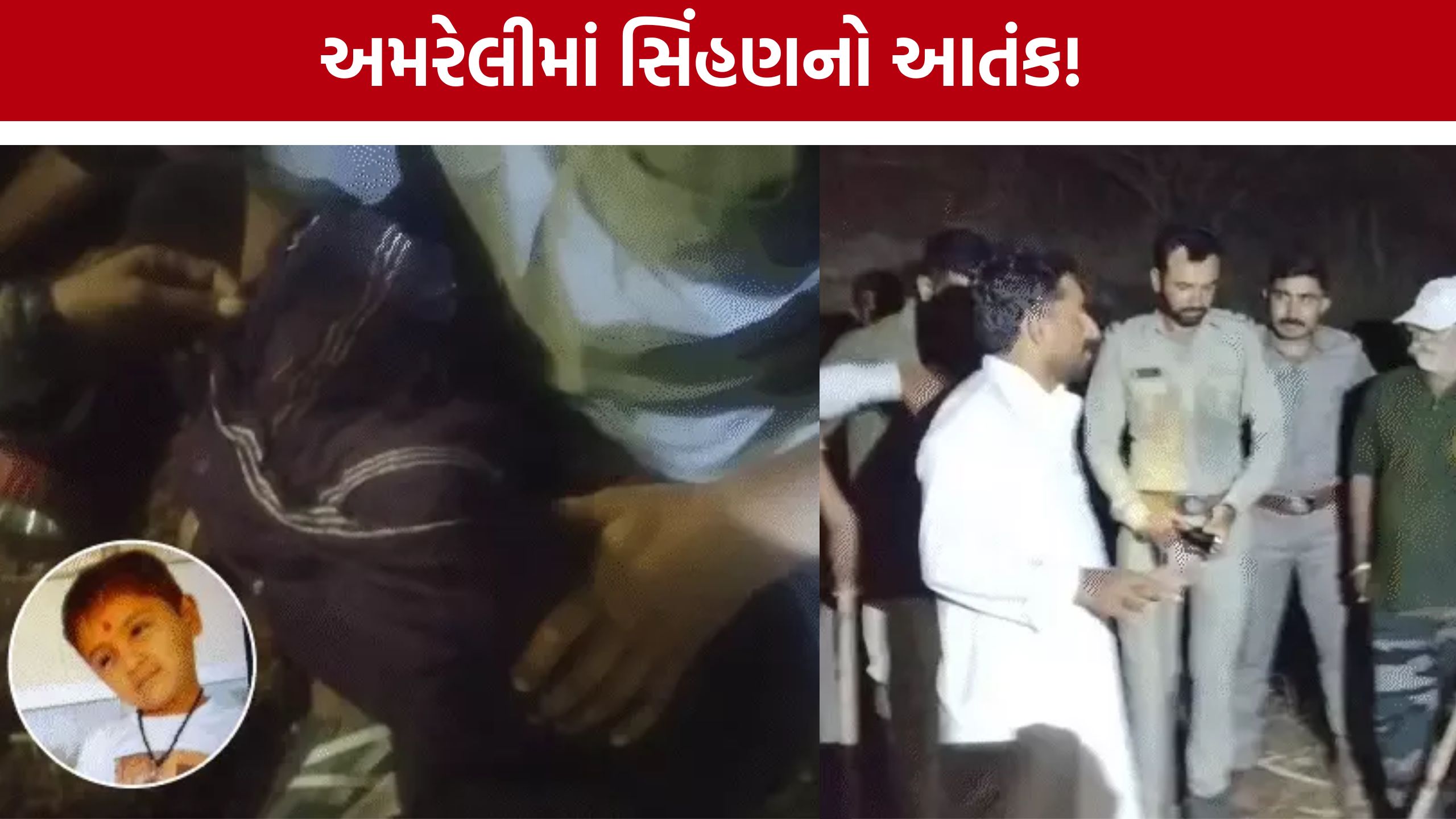Amreli Lioness Attack: 5 વર્ષના બાળકનો સિંહણના હુમલામાં કરુણ અંત