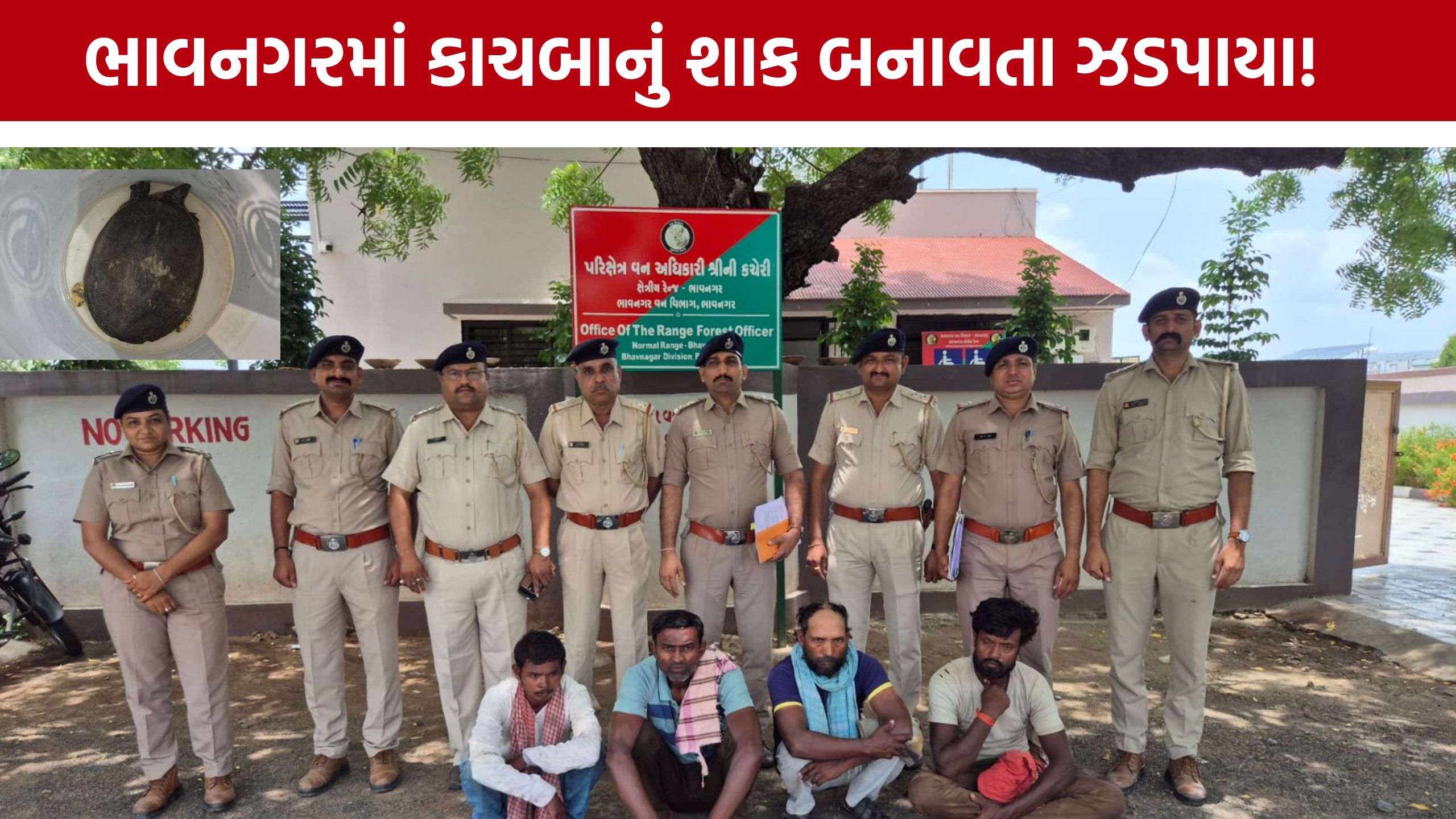 Turtle Meat Case:દુર્લભ કાચબાના શિકારનો ભંડાફોડ, ચાર પરપ્રાંતીય મજૂરો સામે કાર્યવાહી