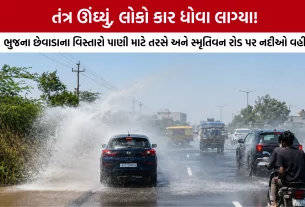 Bhuj Smritivan Water Pipeline Leakage