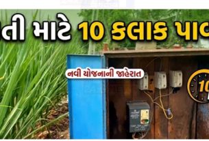 ગુજરાતમાં ચોમાસા (Monsoon)ની ધીમી ગતિ વચ્ચે ખેડૂતો (Farmers) માટે રાહતના સમાચાર સામે આવ્યા છે