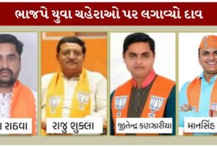 ભારતીય જનતા પાર્ટી (ભાજપ)એ રાજ્યસભા (Rajya Sabha)નાં સભ્યો માટેની આગામી ચૂંટણી માટે ચાર ઉમેદવારોનાં નામ જાહેર કર્યા છે.
