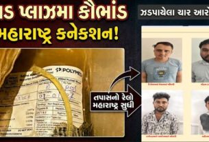 અમદાવાદ ગ્રામ્ય એસઓજીએ ચાંગોદર (Changodar) વિસ્તારમાં ફાર્મા કંપનીઓમાં સપ્લાય થતા બ્લડ પ્લાઝમા (Blood Plasma)યુનિટમાં ભેળસેળ કરીને ગેરકાયદે આર્થિક લાભ મેળવતા એક મોટા રેકેટનો પર્દાફાશ કર્યો છે