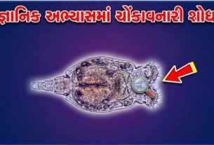 સંશોધકોએ પરોપજીવી (Parasite)ઇચિનોકોકસ ગ્રાન્યુલોસસ (Echinococcus Granulosus)ના અનેક ખતરનાક જીનોટાઇપ્સની હાજરી શોધી કાઢી છે, જે પ્રાણીઓમાંથી મનુષ્યોમાં ફેલાઈ ગંભીર બીમારીઓનું કારણ બની શકે છે.