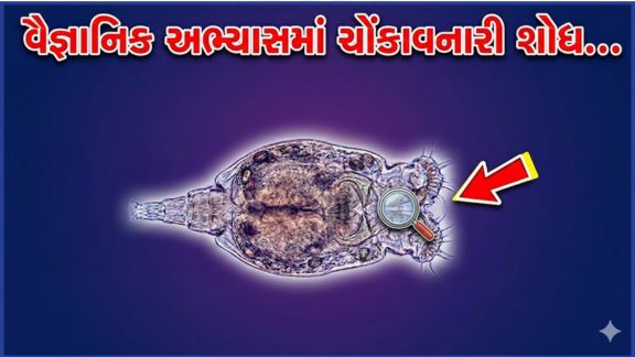 સંશોધકોએ પરોપજીવી (Parasite)ઇચિનોકોકસ ગ્રાન્યુલોસસ (Echinococcus Granulosus)ના અનેક ખતરનાક જીનોટાઇપ્સની હાજરી શોધી કાઢી છે, જે પ્રાણીઓમાંથી મનુષ્યોમાં ફેલાઈ ગંભીર બીમારીઓનું કારણ બની શકે છે.