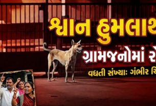 અમરેલી જિલ્લાના વડીયા (Vadiya) પંથકમાં રખડતા અને હિંસક બની ગયેલા શ્વાનોનો આતંક (Dog Terror) દિવસેને દિવસે વધી રહ્યો છે
