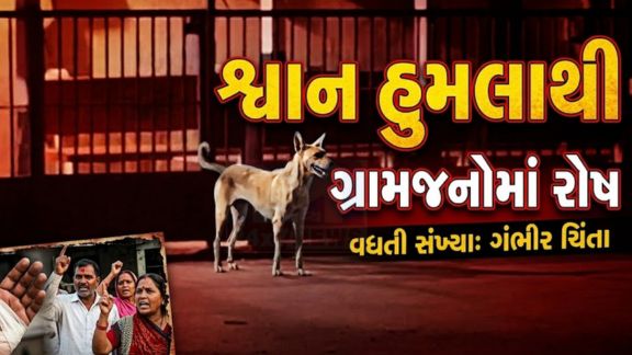 અમરેલી જિલ્લાના વડીયા (Vadiya) પંથકમાં રખડતા અને હિંસક બની ગયેલા શ્વાનોનો આતંક (Dog Terror) દિવસેને દિવસે વધી રહ્યો છે