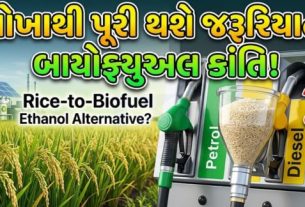 આગામી ઇથેનોલ વર્ષ 2026-27 દરમિયાન દેશને જરૂરી ઇથેનોલ (Ethanol)નો પુરવઠો જાળવવા માટે ચોખા આધારિત ઇથેનોલ ઉત્પાદન વધારવું પડી શકે છે