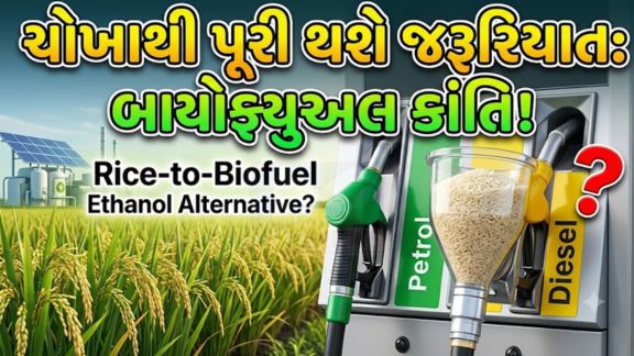 આગામી ઇથેનોલ વર્ષ 2026-27 દરમિયાન દેશને જરૂરી ઇથેનોલ (Ethanol)નો પુરવઠો જાળવવા માટે ચોખા આધારિત ઇથેનોલ ઉત્પાદન વધારવું પડી શકે છે