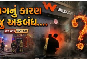 શહેરના બોપલ વિસ્તારમાં આવેલા TRP મોલમાં શુક્રવારે આગ (Fire) લાગવાની ઘટના સામે આવતા થોડા સમય માટે અફરાતફરીનો માહોલ સર્જાયો હતો