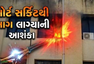 છોટાઉદેપુર જિલ્લાના બોડેલી તાલુકા સેવાસદનમાં આજે આગ (Fire) લાગવાની ઘટના સામે આવી છે