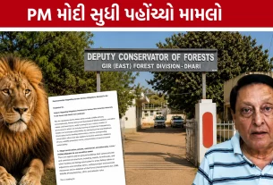 Gir Forest Controversy: PM-CMને પત્ર લખી સિંહ સંરક્ષણ મુદ્દે તપાસની માંગ