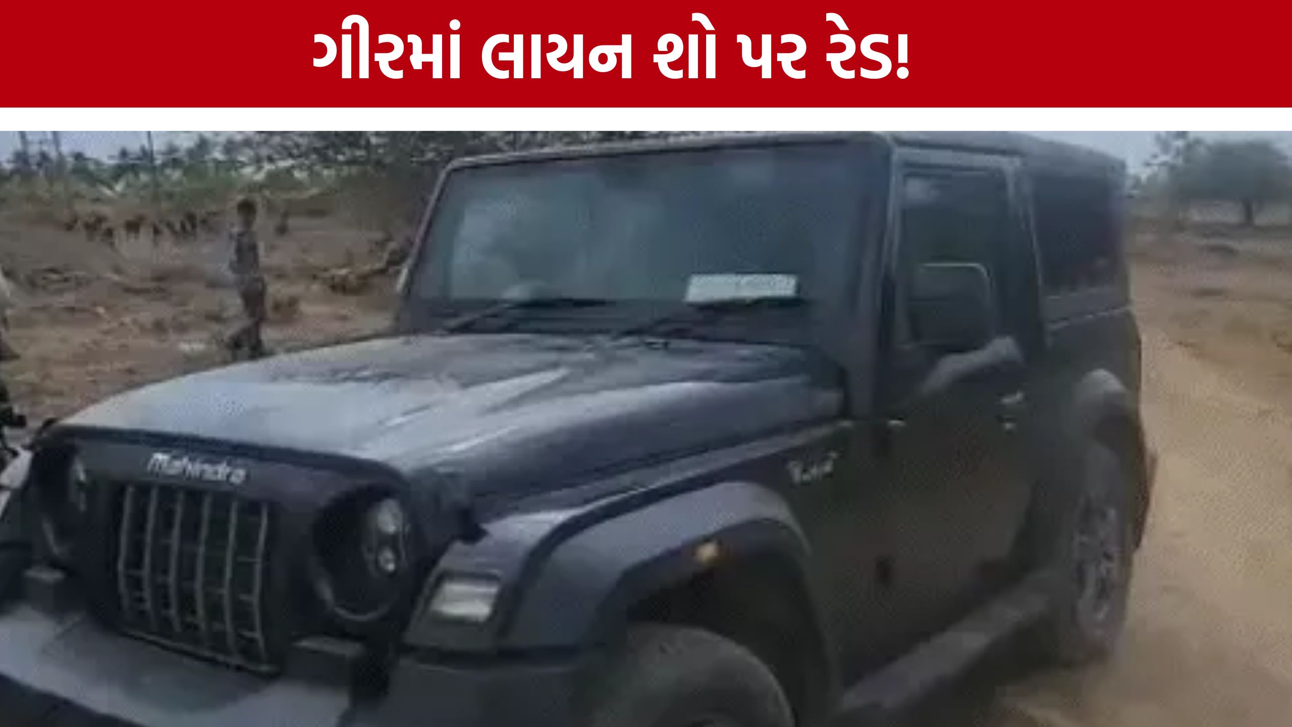 ગીરમાં Illegal Lion Show પર રેડ, ‘મંત્રી’ બોર્ડવાળી થાર કબજે