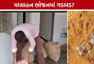 Mid Day Meal food:શાળાના ભોજનની ગુણવત્તા સામે સવાલ, લેબ તપાસની માંગ ઉઠી