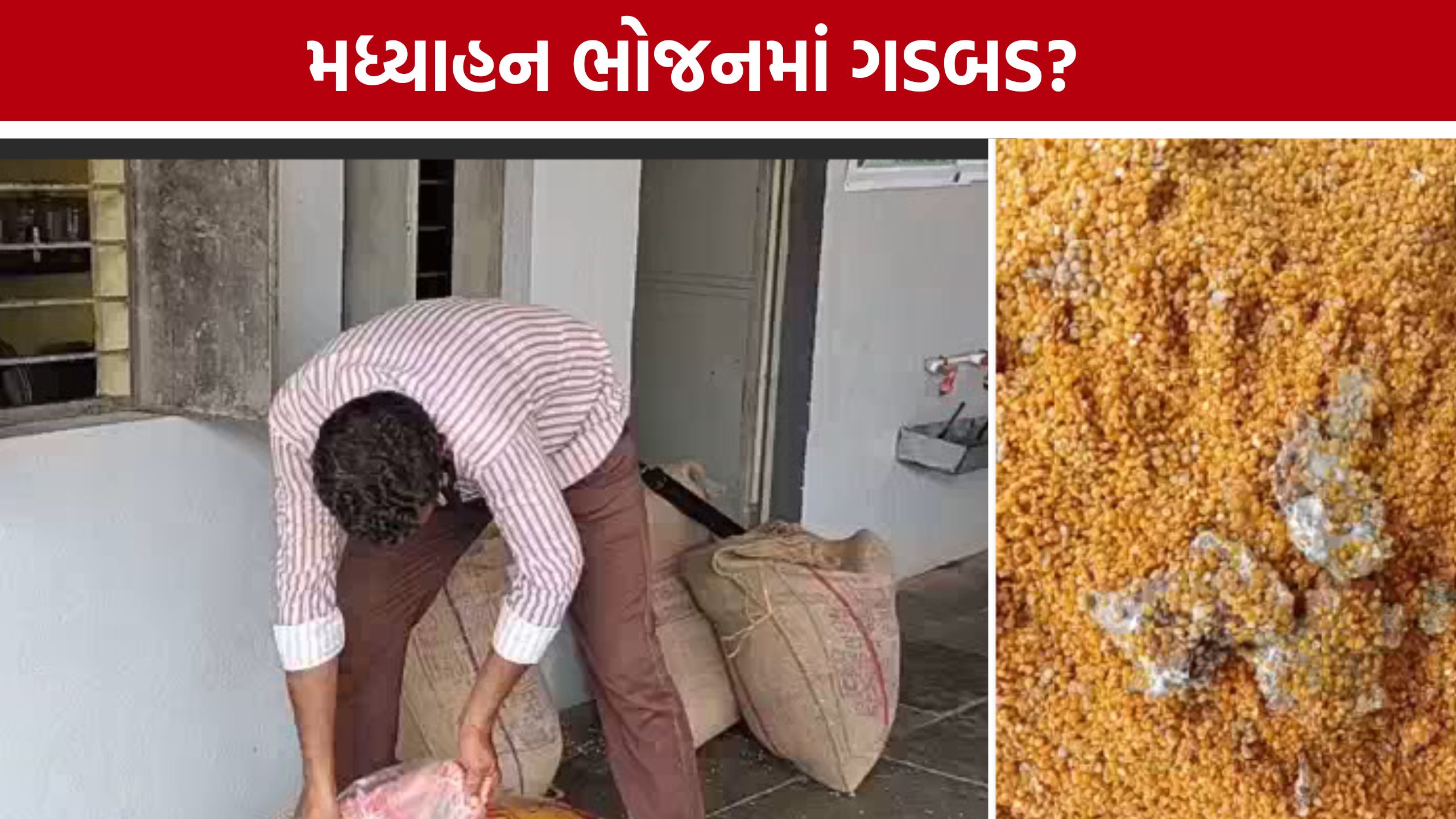 Mid Day Meal food:શાળાના ભોજનની ગુણવત્તા સામે સવાલ, લેબ તપાસની માંગ ઉઠી