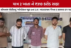 Gir Somnath Cyber Crime News