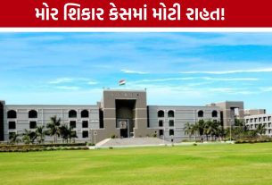 Peacock Hunting Caseમાં ઊના કોર્ટ બાદ હાઈકોર્ટમાંથી જામીન મંજૂર