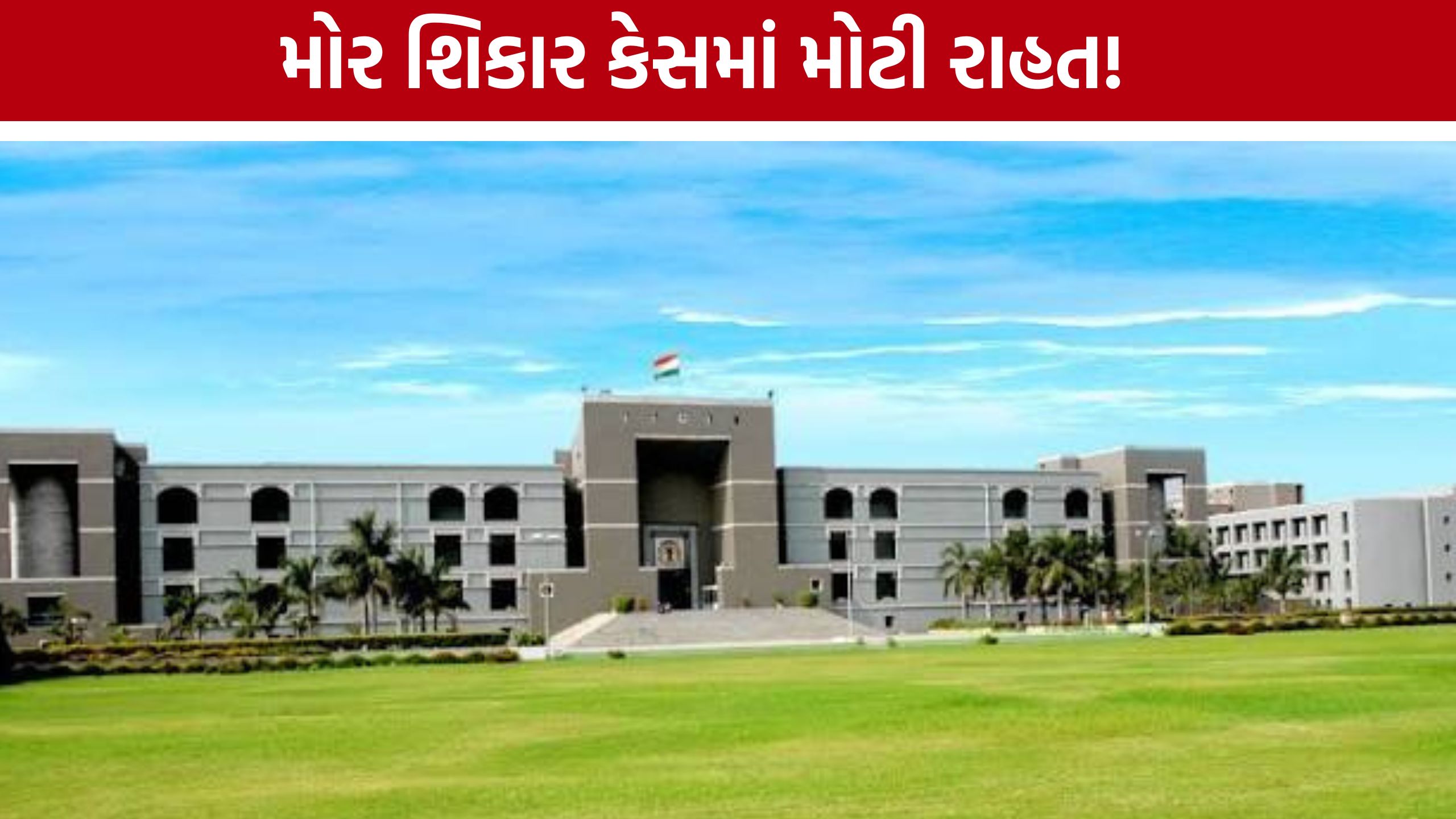 Peacock Hunting Caseમાં ઊના કોર્ટ બાદ હાઈકોર્ટમાંથી જામીન મંજૂર