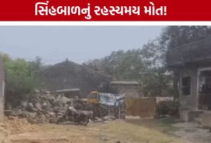 Girnar Lion Cub Death:રહેણાક વિસ્તારમાંથી સિંહબાળ મૃત હાલતમાં મળ્યો
