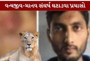 ગુજરાતમાં તાજેતરમાં બનેલી સિંહ હુમલા (Lion Attack)ની ઘટનાએ ચિંતા ઉભી કરી છે