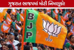 Gujarat BJP Appointments: દક્ષિણ ગુજરાતમાં ભાજપનું સંગઠન મજબૂત, નવા હોદ્દેદારોની જાહેરાત