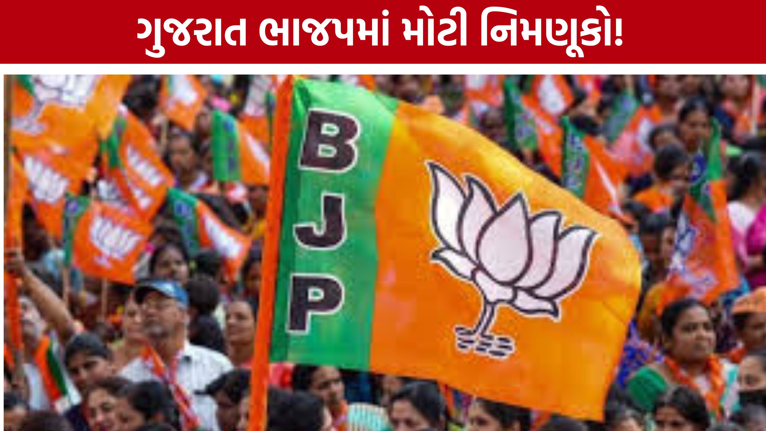 Gujarat BJP Appointments: દક્ષિણ ગુજરાતમાં ભાજપનું સંગઠન મજબૂત, નવા હોદ્દેદારોની જાહેરાત