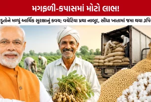 Gujarat Farmers MSP Procurement