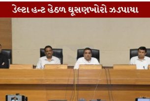 ગુજરાતની આંતરિક સુરક્ષા, શાંતિ અને સલામતીને સુનિશ્ચિત કરવા માટે ગુજરાત પોલીસ (Gujarat Police) દ્વારા સઘન ઝુંબેશ 'ઓપરેશન ડેલ્ટા હન્ટ' (Operation Delta Hunt)શરૂ કરવામાં આવી છે.