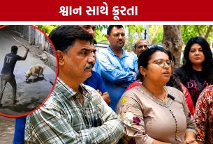 Jamnagar Dog Cruelty: CCTVમાં કેદ થઈ શ્વાન પરની ક્રૂરતા