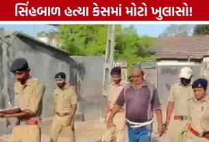 Junagadh Lion Cub Killing Case:આરોપી સાથે ઘટનાસ્થળે કરાયું રિકન્સ્ટ્રક્શન, તપાસમાં મહત્વનો ખુલાસો