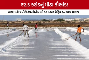 Kutch Bhachau Salt Scam