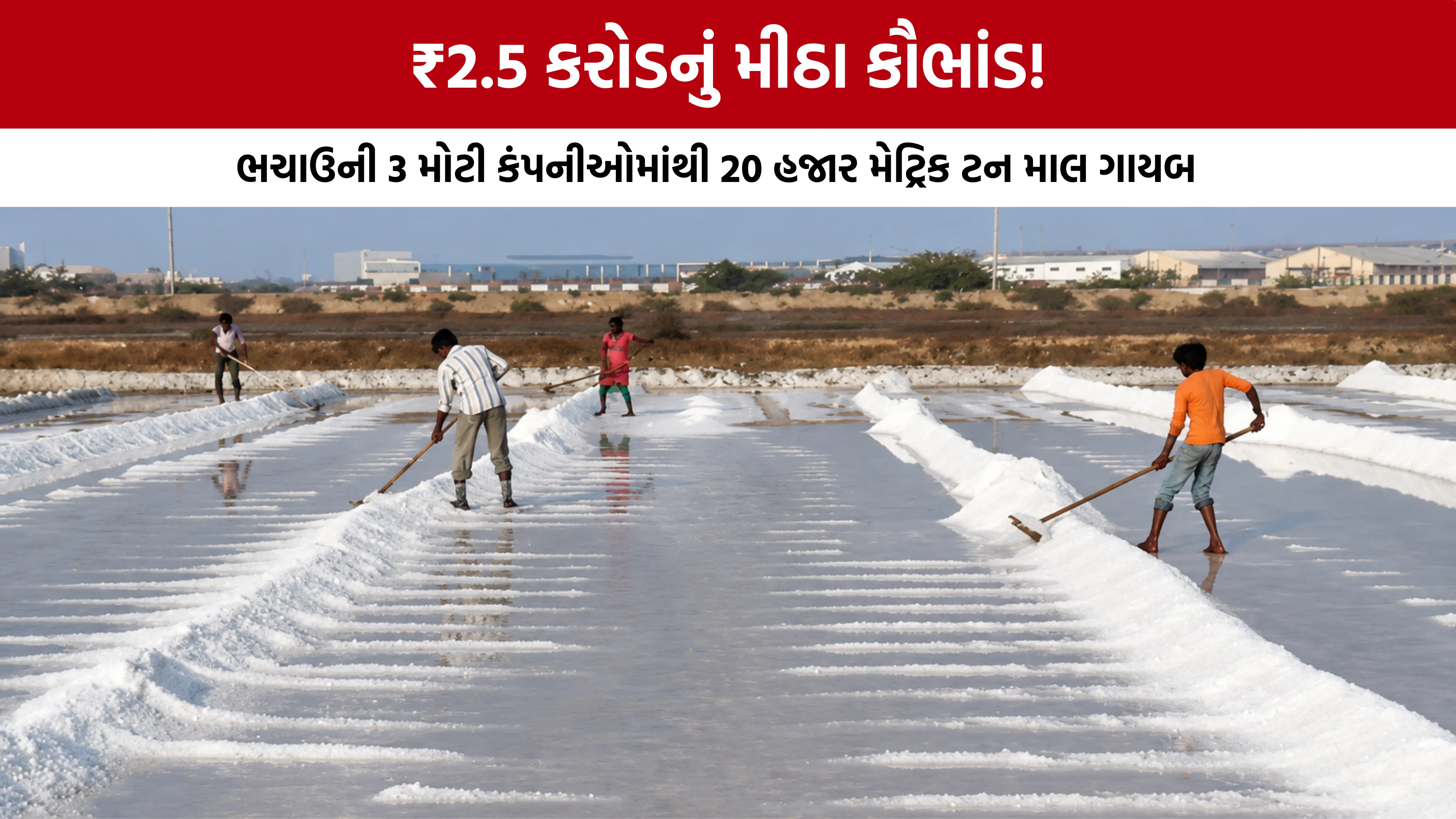 Kutch Bhachau Salt Scam