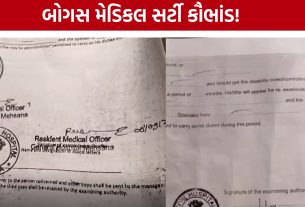 Fake Medical Certificate Scam: મહેસાણામાં નકલી મેડિકલ ફિટનેસ સર્ટી મામલે હડકંપ, ત્રણ બોગસ સિક્કા જપ્ત