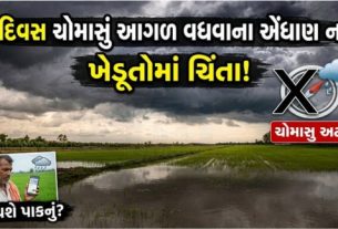 હવામાન વિભાગે 24 અને 25 જૂન દરમિયાન રાજ્યના કેટલાક વિસ્તારોમાં તીવ્ર પવન અને વરસાદની આગાહી કરી છે. આમ મીની વાવાઝોડા (Mini Cyclone)ની સંભાવના વ્યક્ત કરવામાં આવી છે.