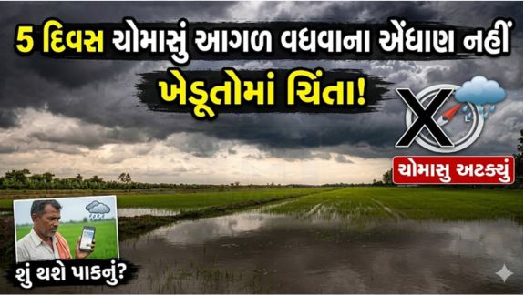 હવામાન વિભાગે 24 અને 25 જૂન દરમિયાન રાજ્યના કેટલાક વિસ્તારોમાં તીવ્ર પવન અને વરસાદની આગાહી કરી છે. આમ મીની વાવાઝોડા (Mini Cyclone)ની સંભાવના વ્યક્ત કરવામાં આવી છે.