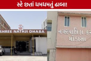 Shrinathji Dhaba Controversyમાં, મંજૂરી વગર ઉભી થઈ આખી હોટલ!