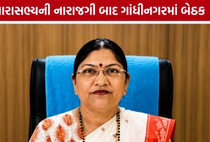 Nandod BJPના આંતરિક વિવાદે પકડ્યો જોર, હાઈકમાન્ડ એક્શનમાં
