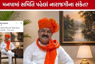 Navsari Municipal Corporation: 'દગો' અને 'વિશ્વાસઘાત'ની પોસ્ટથી રાજકીય ચર્ચા તેજ