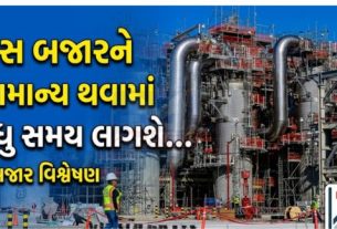 ભારત માટે હાલની સૌથી મોટી ઊર્જા ચિંતા તેલ નહીં પરંતુ ગેસ (Gas) સપ્લાય બની રહી છે