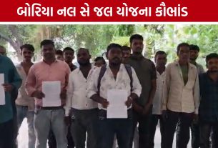 બોરિયા ગામમાં Nal Se Jal Yojana બની કાગળ પર જ સીમિત?