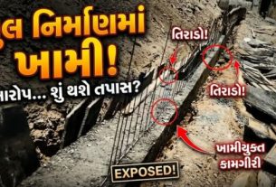 વડિયા, ઢૂંઢિયા અને પીપળીયા ગામોને જોડતા પુલ (Bridge)ના નિર્માણ કાર્યમાં ગુણવત્તાને લઈને ગંભીર સવાલો ઉભા થયા છે