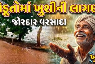 અમરેલી (Amreli) જિલ્લાના રાજુલા (Rajula)પંથકમાં વરસાદી માહોલ જામ્યો છે. નાની ખેરાળી, ખારી, બાબરીયાધાર અને મેરીયાણા સહિતના ગ્રામ્ય વિસ્તારોમાં ધોધમાર વરસાદ (Rain) વરસતા ખેડૂતોમાં ખુશીની લાગણી જોવા મળી રહી છે