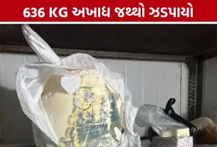 Rajkot Food Department: ફુગવાળી મલાઈ અને શંકાસ્પદ પનીર ઝડપાયું