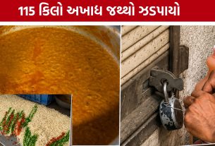 Rajkot Food Department Raid:વાસી ચટણી અને નૂડલ્સનો જથ્થો ઝડપાયો, રૂ.10 હજાર દંડ