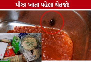 Rajkot Food Safety Raid:મોંઘા ભાવે પીઝા, અંદર ગંદકીનો ઢગલો! રાજકોટમાં ફૂડ વિભાગની કાર્યવાહી