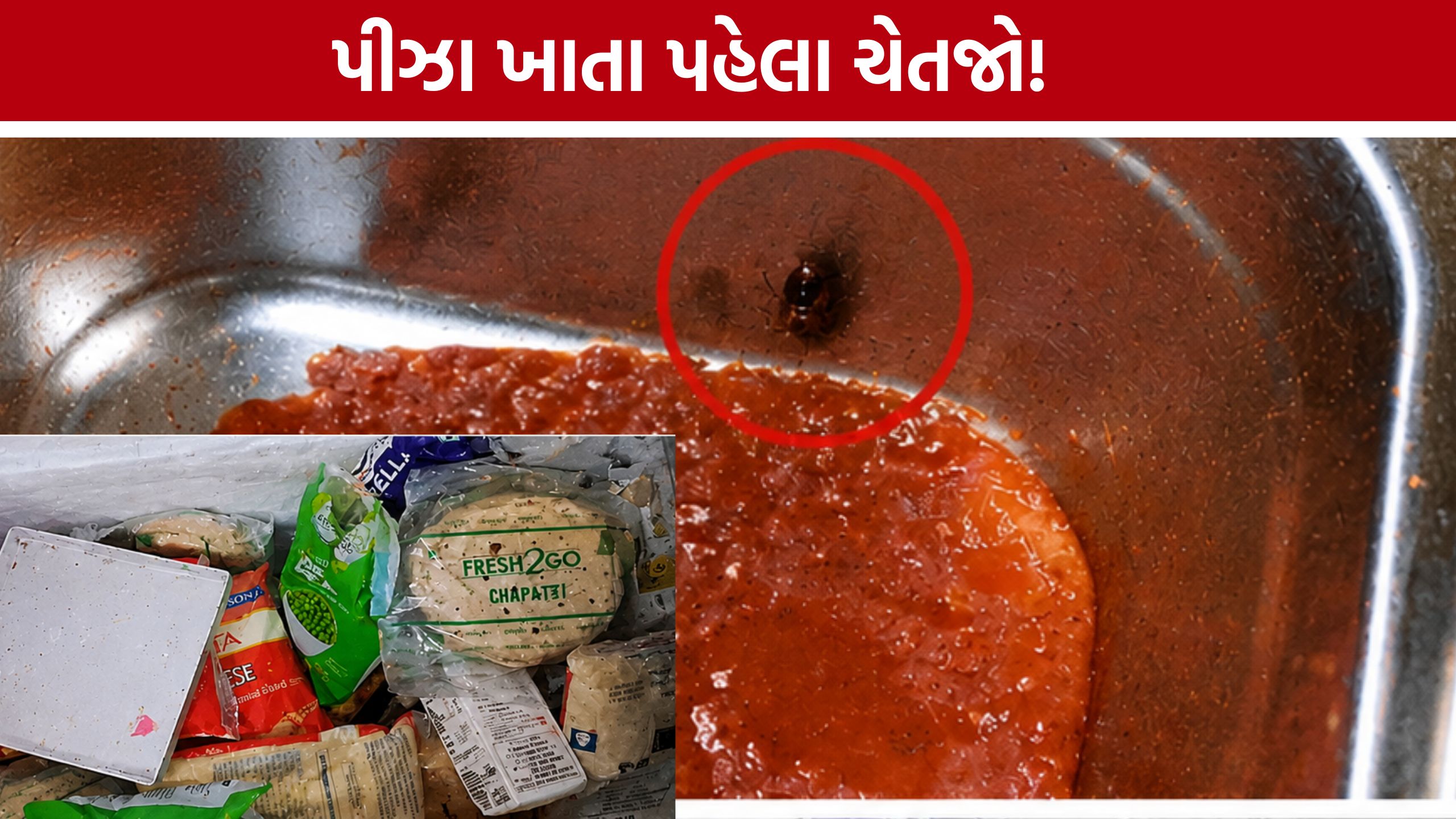 Rajkot Food Safety Raid:મોંઘા ભાવે પીઝા, અંદર ગંદકીનો ઢગલો! રાજકોટમાં ફૂડ વિભાગની કાર્યવાહી